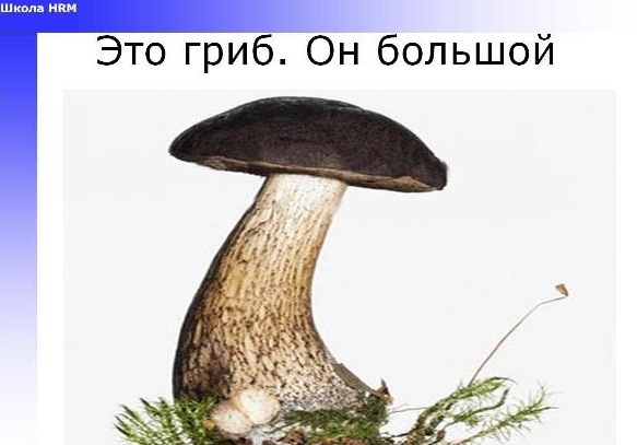 Мотивация