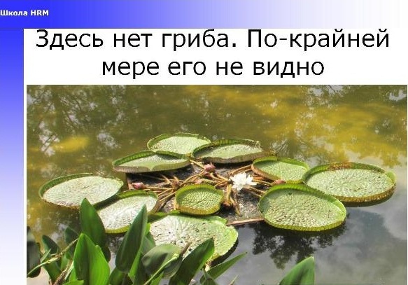 Мотивация