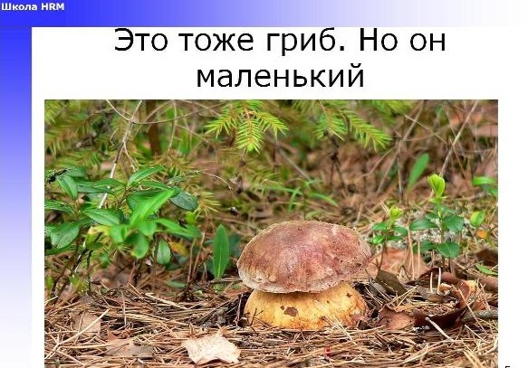 Мотивация