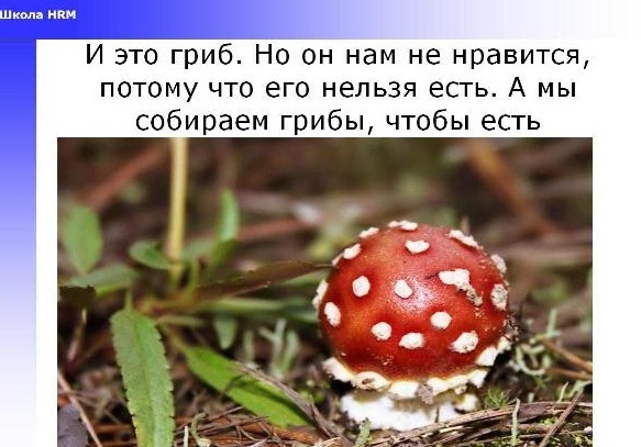 Мотивация