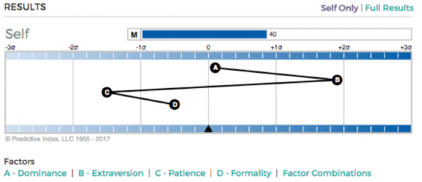 Пример отчёта PI