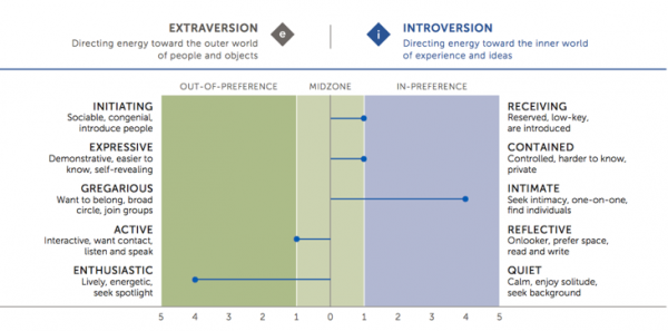 Пример отчёта Майерс Бриггс