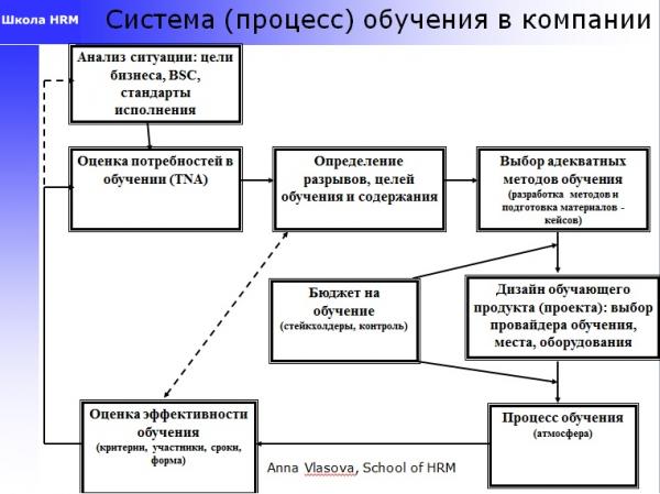Цикл обучения в компании